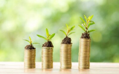 Capital campaign funding growth